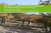 WALD UND KLIMAWANDEL IN RHEINLAND-PFALZ · Der Wald in Rheinland-Pfalz beherbergt eine Vielzahl an naturschutzfachlich wertvollen und geschützten Flächen, die sich durch eine besondere