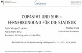 Cop4Stat und SDG Fernerkundung für die Statistik · Cop4Stat und SDG – Fernerkundung für die Statistik Sylvia Seissiger [Cop4Stat], Patrick Knöfel [SDG] Bundesamt für Kartographie