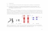 4 Ergebnisse 4.1.1 Charakterisierung des ...sundoc.bibliothek.uni-halle.de/diss-online/05/05H083/t5.pdf · Bandenstadium550), lila gekennzeichnet die Telomerbereiche der Chromosomen.