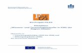 EU-Projekt FILES Pilotaktion „Wissens- und ...thiem1/files/content/fo_uebersicht.pdf · 4 I. Übersicht Forschungsgebiete und –projekte Die nachfolgende Übersicht enthält eine