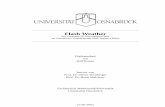 Flash Weather - Universität Osnabrückrkunze/flashweather/flashweather.pdf · 1 Einleitung 1 1 Einleitung Das Internet bietet eine gewaltige Informationsvielfalt. Fast zu jedem Thema