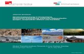 Windenergienutzung in Deutschland. Historische Entwicklung ... · Global Transformations Towards A Low Carbon Society Working Paper Series No 8, July 2013 Johannes Bernhardt: Windenergienutzung