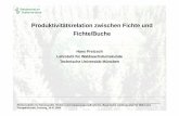 Produktivitätsrelation zwischen Fichte und Fi ht /B ... · Produktivitätsrelation zwischen Fichte und Fi ht /B hFichte/Buche Hans Pretzsch Lehrstuhl für Waldwachstumskunde Technische
