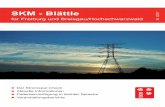 SKM - Blättle - skm-breisgau.de · 4 5 SKM-Blättle aufgrund von kleinem Gehalt oder klei-Informationen ner Rente, können sich dies vom SKM bestätigen lassen und dann auch vom