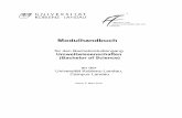 Modulhandbuch - Universität Koblenz · Landau · PDF fileModul „Individuelle Vertiefung“ mit Wahlpflichtveranstaltungen (8 LP), einem Berufspraktikum (5 LP) und einer abschließenden