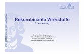 Rekombinante Wirkstoffe - user.uni-frankfurt.deuser.uni-frankfurt.de/~dingerma/Podcast/Rekombinante_Wirkstoffe_WS09_6.pdf · Lebensmittel (rohe Meeresfrüchte, Eis, Obst, Salat),