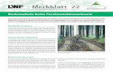 Merkblatt 22 - lwf.bayern.de · Merkblatt 22. der Bayerischen Landesanstalt für Wald und Forstwirtschaft. Dezember 2012. Bodenschutz beim Forstmaschineneinsatz. Der zunehmende Einsatz