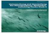 Untersuchung und Beurteilung der Fliessgewässer: Methoden ... · efi-plus.boku.ac.at/) mit Schweizer Beteiligung entwickelt. 501 schweizerische Fliessgewässerstrecken und die dazu-
