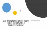 Das interprofessionelle Team in der extramuralen ...wunddach-kongress-2017.org/fileadmin/user_upload/Das_interprofession... · • Anamnese • Erhebung der Wundsituation • Erstellung