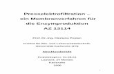 Presselektrofiltration – ein Membranverfahren für die ... · Energieverbrauch, wurde ein Konzept entwickelt, das die Effizienz des Energieverbrauchs in der Elektrofiltration steigern