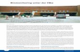 Aus der Praxis Biomonitoring unter der Elbe - Dr. A. Berg · 34 IPA-Journal 03/2012 Aus der Praxis sönliche Schutzausrüstung in der vorangegangenen Schicht nicht richtig angelegt