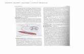 Muskel (Quelle: Springer Lexikon Medizin) - biochem.chbiochem.ch/K30/K30_files/Muskel.pdf · Kontraktile Struktur Verbindung der Muskelzellen untereinander Innervation Struktur der
