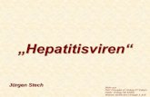 Replikation und Krankheitsentstehung bei Hepatitis B und ... · 25 nm Hepatitis A Virus (HAV) Picornaviridae Virus-Hepatitis 45 nm Hepatitis B Virus (HBV) Hepadnaviridae Hepatitis