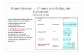 Biomembranen — Chemie und Aufbau der Glycolipideuser.uni-frankfurt.de/~dingerma/Podcast/CytologieWS10_4.pdf · Lectine — Interaktion mit Biomembranen Lectine sind • an speziﬁsche