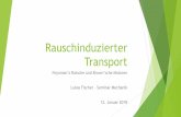 Rauschinduzierter Transport - thphys.uni-heidelberg.demielke/ws1718p20180112.pdf · Bose-Einstein-Kondensat (aus Rubidium-Atomen) in Sägezahnpotential aus Lichtwellen „travelling
