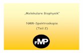 „Molekulare Biophysik“ NMR-Spektroskopie (Teil 2)schmieder.fmp-berlin.info/teaching/vorlesung_mbph/pdf/molekulare... · Im Gegensatz zu vielen anderen Spektroskopie-Arten gibt