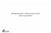 Bildgebender Ultraschall (U/S) (Sonographie) file3 / 100 Gepulste Ultraschalltechnik 1914 – Physiker Paul Langévin (*1872 - 1946) und Constantin Chilowsky wenden Röhren zur Verstärkung