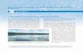 Bewertung von Seen nach biologischen Qualitäts kriterien · Seetypen, LBH, Freiburg. 6 RiedmülleR, U., twoReck, A., HoeHn, e., (2010, 2012, 2014): Bewertung von künstlichen und