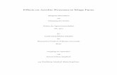 Effects on Aerobic Processes at Silage Faces - hss.ulb.uni ...hss.ulb.uni-bonn.de/2018/4954/4954.pdf · PDF fileEffects on Aerobic Processes at Silage Faces Inaugural-Dissertation
