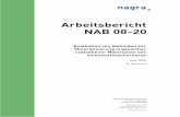 Arbeitsbericht NAB 08-20 - nagra.chdefault/Default... · I NAGRA NAB 08-20 Zusammenfassung Der vorliegende Bericht gibt einen Überblick über die weltweit existierenden und angewendeten