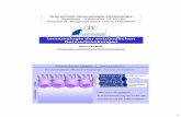 Immunologie der entzündlichen Darmerkrankungen - weltoffen · LP-Makrophagen Epithelzellen Dendritische Zellen Anergie Keine Co-stimulation Treg, TH3, Tr1 IL-4, IL-10 Regulatorische