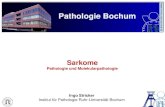 Sarkome - Südwestsächsisches Tumorzentrum Zwickau e.V.tumorzentrum-zwickau.de/sites/default/files/Publikationen/33onkologie... · skelett-muskulär Rhabdomyosarkom embryonal pleomorph,
