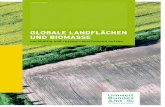 Umweltbundesamt: Globale Landfl¤chen und Biomasse ... Globale Landfl¤chen und Biomasse nachhaltig