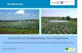 Bewässerung - Startseite | Grüne Seiten · Verdunstung (Penman) x Kc – Regen = Tagesbilanz - Bewässerungstechnik und wassersparende Verfahren - Regnerleitungen, Beregnungsmaschinen,