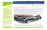 Biowasserstoff-Magazinbiowasserstoff-magazin.richey-web.de/pdf/Magazin_Elektroautos_2008_2.pdf · Gedanken zum Energiekonzept der Umweltschützer Auszug aus dem Beitrag in unserer