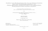 Studien zum Mechanismus der GILCH-Polymerisation und zum ...tuprints.ulb.tu-darmstadt.de/2000/1/Dissertation_T_Schwalm.pdf · T. Schwalm, M. Rehahn ››Gel Formation during the