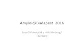 Amyloid Präsentation 2016 - semmelweis.husemmelweis.hu/patologia2/files/2016/10/de_16_2.pdf · 2.4.1 Pathologisch-anatomische Diagnostik Für die Diagnosestellung ist eine histologische