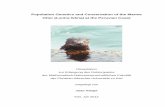 Population Genetics and Conservation of the Marine Otter ... · SUMMARY i SUMMARY The marine otter Lontra felina is an endangered species living in the fragmented habitat of the Peruvian