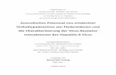 Zoonotisches Potenzial neu entdeckter Orthohepadnaviren ...geb.uni-giessen.de/geb/volltexte/2015/11385/pdf/KoenigAlexander_2015_02_04.pdf · die Charakterisierung der Virus-Rezeptor