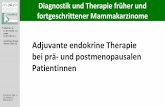 sowie Adjuvante endokrine Therapie - ago-online.de · © AGO e. V. in der DGGG e.V. sowie in der DKG e.V. Guidelines Breast Bauerfeind Version 2019.1D Adjuvante endokrine Therapie
