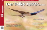 Frühjahr 2019: Wie verlief die Ankunft der Zugvögel? · ler) in Deutschland in den Jahren 2012 bis 2018 im Vergleich zu 2019 nach den Daten von ornitho.de. Die Arten sind nach dem