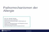 Pathomechanismen der Allergie - Phadia Companies/Germany/Veranstaltungen... · Prof. Dr. Rudolf Valenta 1 Pathomechanismen der Allergie Prof. Dr. Rudolf Valenta Medizinische Universität