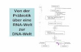 Von der Präbiotik über eine RNA-Welt zur DNA-Weltmolgen.biologie.uni-mainz.de/Downloads/PDFs/Molekulargenetik der... · Die Funktion von Satelliten DNA ist nur partiell bekannt: