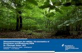Ökosystemleistungen der Wälder- The Economics of ... · Das MA-Konzept stellt eine Beziehung her zwischen Natur / ESS und Gesellschaft / Wohlergehen Die Beziehung sind unterschiedlich