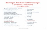 Reizmagen Reizdarm und Fibromyalgie · PDF filePathophysiologie Professor Dr. Dr. Eckart Friedel 4 . Symptome Professor Dr. Dr. Eckart Friedel 5 Dyspepsie vom Refluxtyp: retrosternales