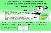 Handball A-Jugend/weiblich Sac .Teilnehmer 2 Sachsenmeisterschaft A-Jugend/weiblich Name Spielbezirk