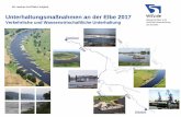 Unterhaltungsmaßnahmen an der Elbe 2017 · mit kleinen bis mittleren Schäden (SK 1 und 2) werden im Rahmen der Regelunterhaltung flächendeckend an der gesamten Binnenelbe ausgeführt.