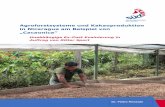 Agroforstsysteme und Kakaoproduktion in Nicaragua am ... · Problemen zu kämpfen (Kommunikationsbarrieren, Infrastruktur etc.), die nicht einfach zu lösen sind. Im Rahmen der Evaluierung