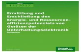 Ermittlung und Erschließung des Energie- und ... · environmentally aware consumers who do not have too high expectations for the picture qual- ity, convergence devices with computer