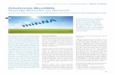 Zirkulierende MicroRNAs Neuartige Biomarker am Horizont? · PDF fileInfluenza miR-21, miR-223 Immunologische Erkrankungen Multiple Sklerose miR-145, miR-34a, miR-155, miR-326 Systemischer