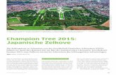 Champion Tree 2015: Japanische Zelkove - ddg-web.de · nata (0,52), eine erst gepflanzte, hüfthohe M. tripetala, und zwei M. kobus. Das // Abb. 2: Auszeichnung für den Rekordbaum