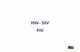 HIV- SIV FIV - patho.vetmed.uni-muenchen.de · Allgemeines (2): - ob es bei der Katze tatsächlich ein dem AIDS des Menschen und der SIV-Infektion beim Affen entsprechendes Immundefizienz-Syndrom