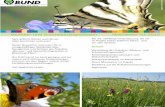 Newsletter Blumen-und Schmetterlingswiesenblumenwiesen.bund-rlp.de/fileadmin/bundgruppen/Blumenwiesen/Beitraege/... · Blumen- und Schmetterlingswiesen Newsletter 01-2012 5 Neuer