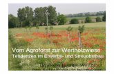 Vom Agroforst zur Wertholzwiese · Vorsitzender der NABU-Bundesfachgruppe Streuobst Dr. Markus Rösler „Was die Stammhöhe betrifft, gibt es seitens des NABU keine maximale Stammhöhe.