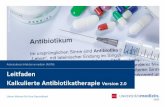 Arbeitskreis Infektionsmedizin (AKIM) Leitfaden ... · 2 Vorwort Liebe Kolleginnen und Kollegen, bei dem vorliegenden Leitfaden zur kalkulierten Antibiotikatherapie handelt es sich