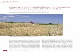 Leistung und Stickstoffeffizienz von Schweizer ... · Stickstoffnutzung durch die Pflanze ist ein agronomi- scher Indikator zur Beurteilung der Effizienz, mit wel- cher die Pflanze